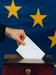 Kandidatne liste za evropske volitve lahko vložite do 25. aprila