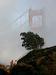 Golden Gate: Kraj poslednjega slovesa