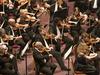Kraljevi filharmonični orkester za začetek