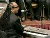 Diamantni Stevie Wonder