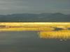 Neokrnjena narava Cerkniškega jezera