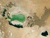 Aral si še dolgo ne bo opomogel
