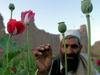 G8 z novo strategijo proti afganistanskemu opiju