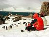 Antarktika še vedno zanimiva za turiste