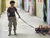 Englandova priznava mučenje v Abu Graibu