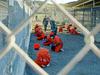 ZDA poslale pet zapornikov iz Guantanama Združenim arabskim emiratom
