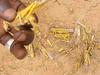 V Čadu ljudje iščejo hrano celo v mravljiščih