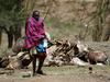Afriški pastirji ključ do prilagajanja podnebju