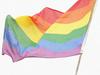 Čehi potrdili zakon o istospolni zvezi