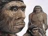 So v Španiji našli neandertalsko grobišče?