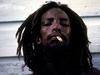 Jamajka za legalizacijo marihuane