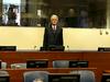 Karadžić: Nisem deležen poštenega sojenja