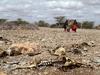 Letošnje leto najhujše v Somaliji