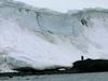 Na Antarktiki odkrili še 700 vrst