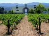 Top 10 vinskih regij sveta