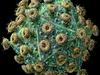 Naraščanje števila okužb z virusom HIV kliče k odgovorni spolnosti