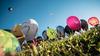 Ismét hőlégballonokkal lesz tele a muravidéki ég