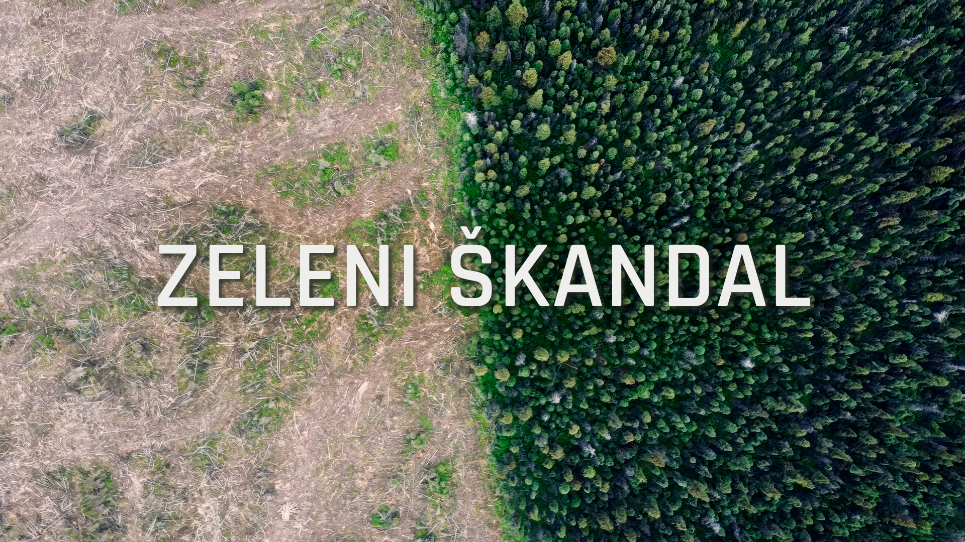 365.rtvslo.si