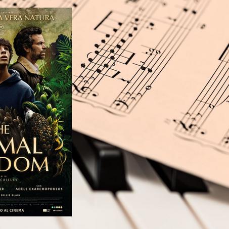 Calle degli orti grandi