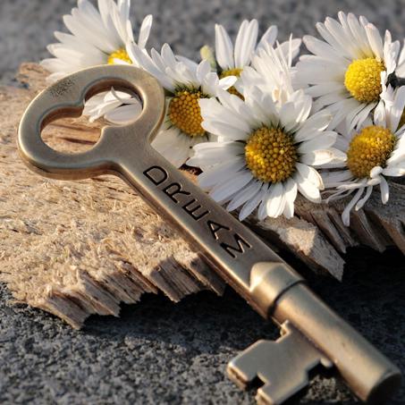 Calle degli orti grandi