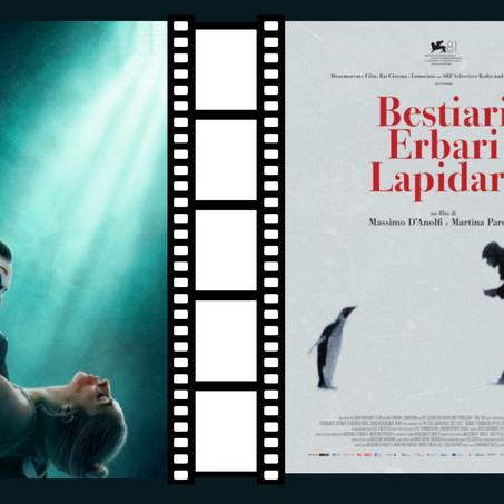 Calle degli orti grandi