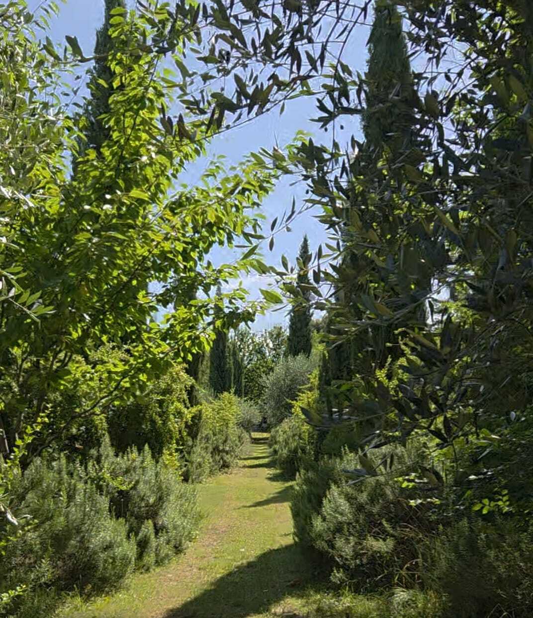 Dotik časa in narave: vrt za zidovi nekdanjega samostana v Čedadu