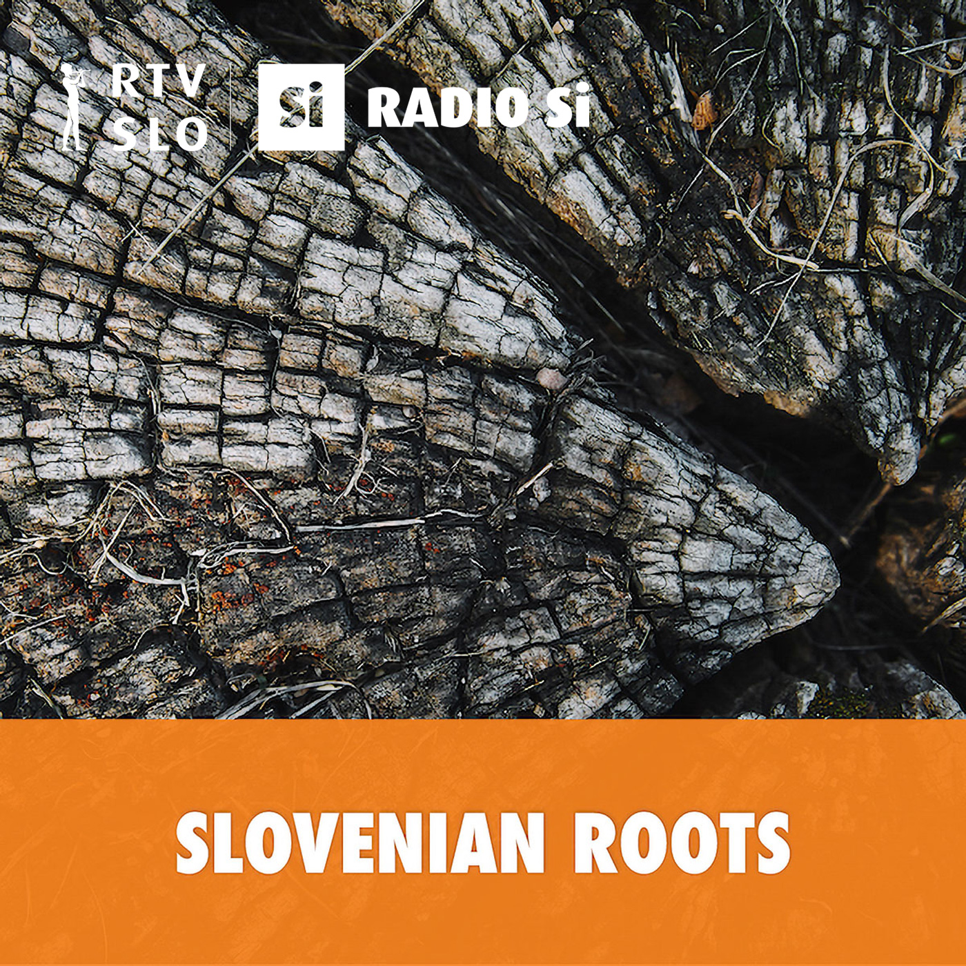 Slovenian roots