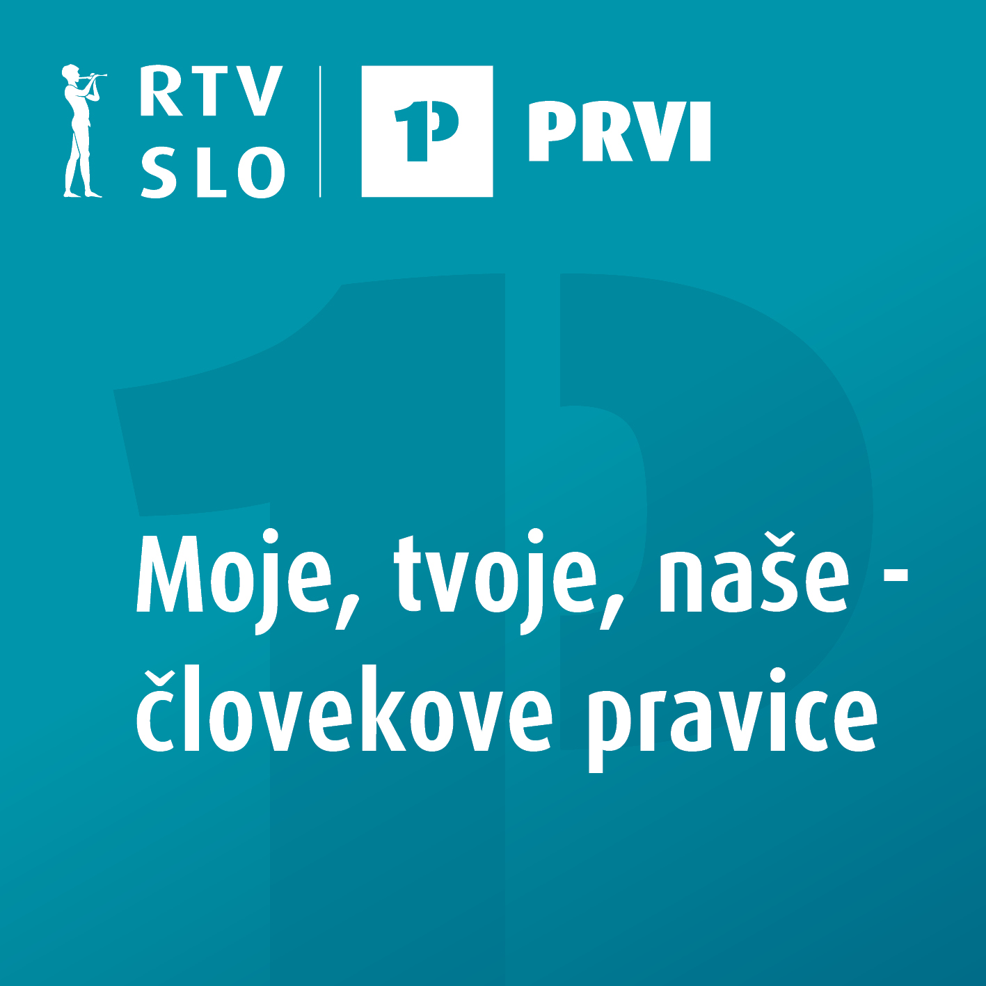 Moje, tvoje, naše – človekove pravice