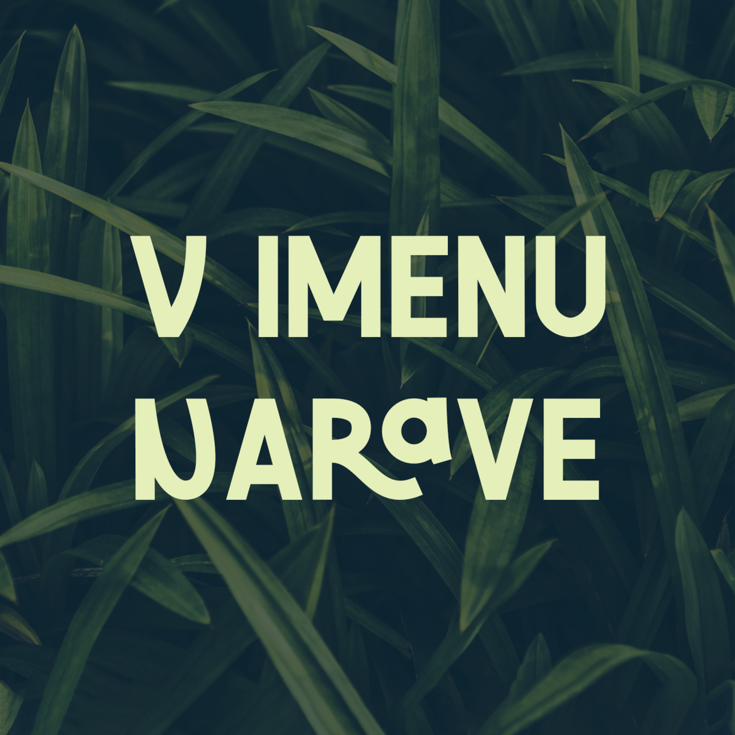 V imenu narave