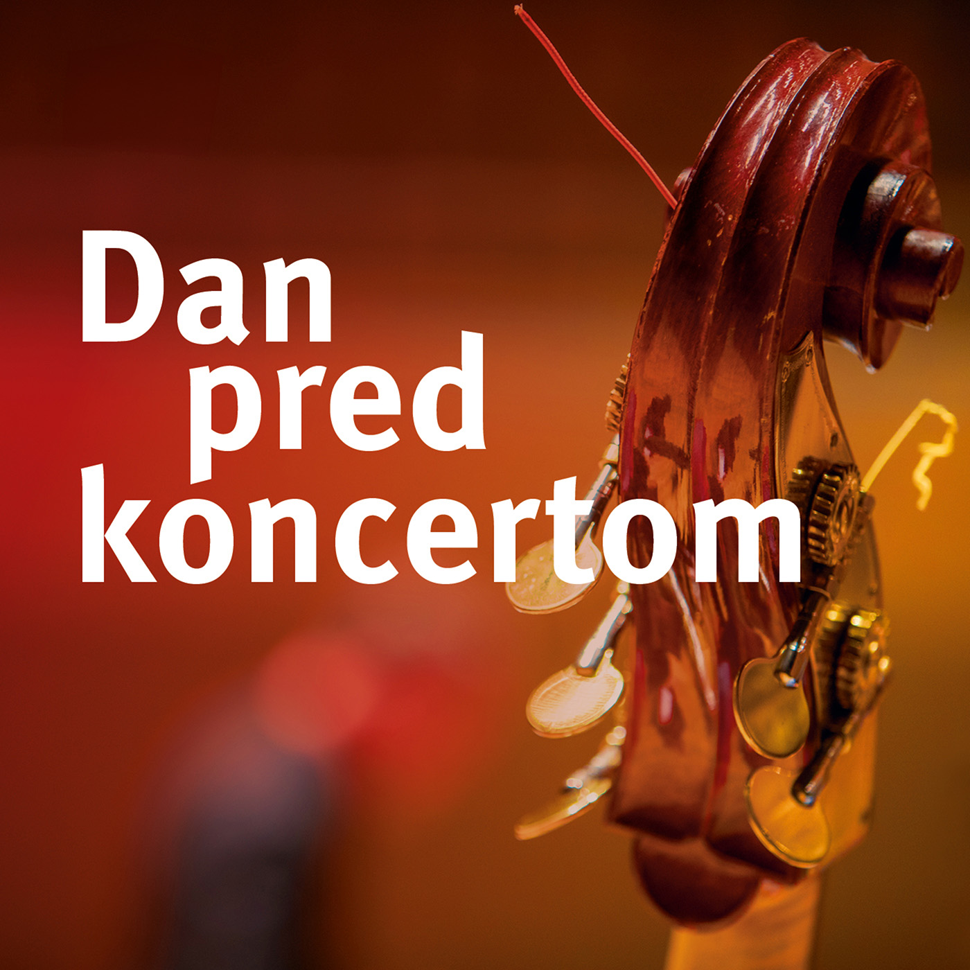 Dan pred koncertom