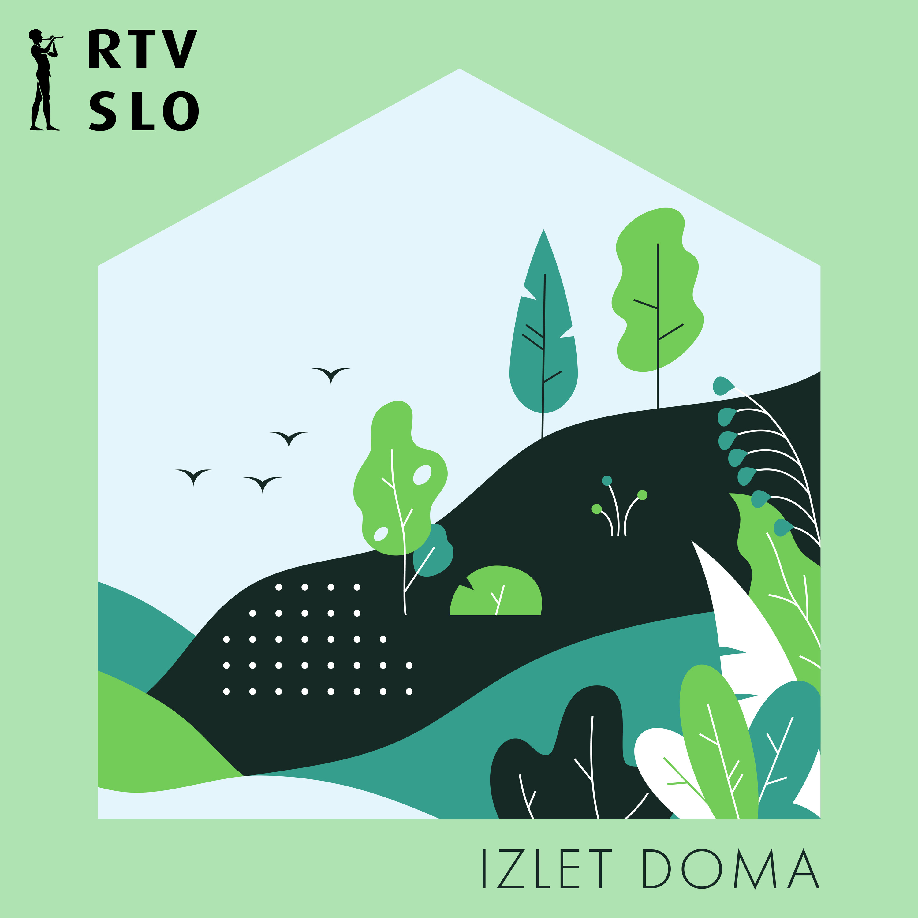 Izlet doma