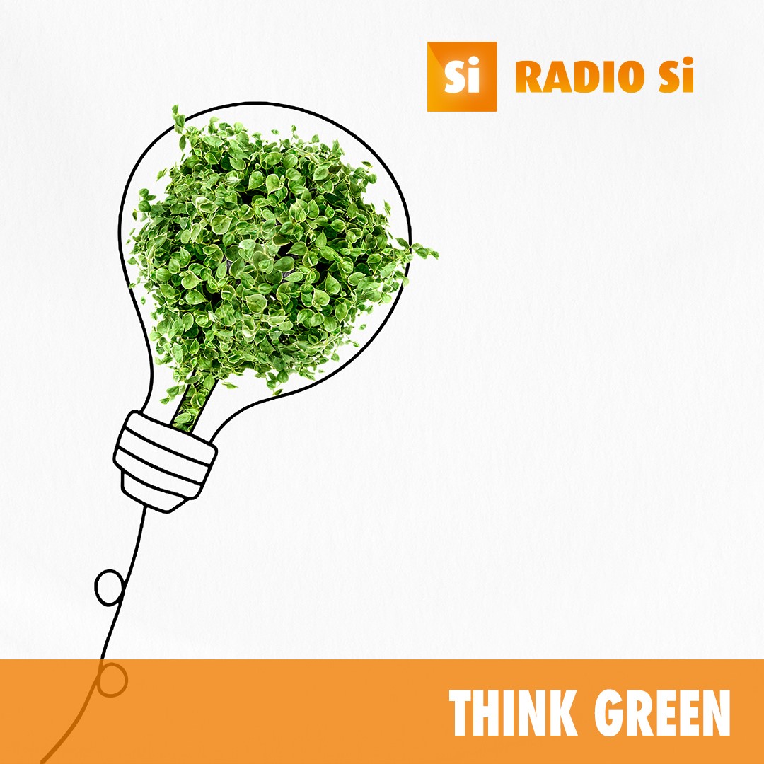 Think Green