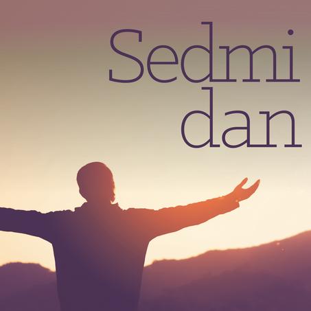 Sedmi dan