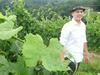 Ljubljanski raper na rajžo po vinogradih