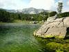 Alpe Adria Green proti predlaganemu zakonu o Triglavskem narodnem parku