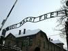 Tatovi napisa Delo osvobaja iz Auschwitza obsojeni