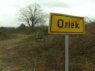 Z dogodki v zadnjih dneh se je razkrila tudi preprodaja zemljišč na Orleški gmajni, v katero naj bi bila vključena tudi državna Luka Koper. Foto: MMC RTV SLO