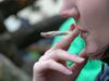 Nizozemski parlament prižgal zeleno luč za gojenje in prodajo marihuane na debelo