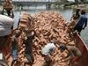 Zemeljski plazovi v Bangladešu pokopali 42 ljudi