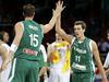 Odločitev vlade o projektu Eurobasket 2013 preložena