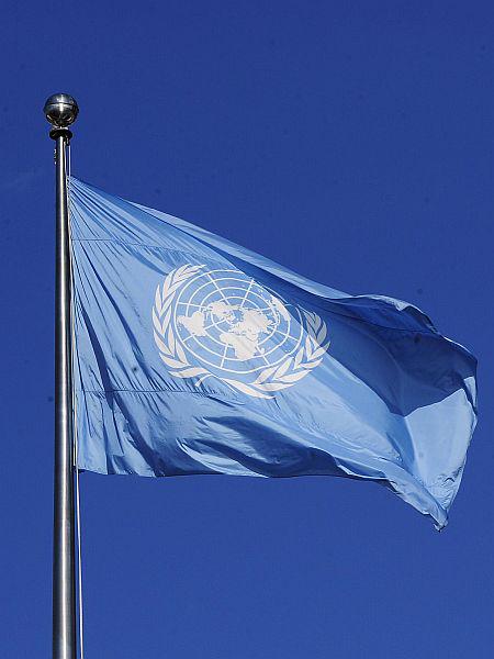 Združeni narodi
