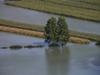Najmanj 40 milijonov evrov škode zaradi poplav