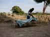 Haiti: Število žrtev se viša, zaradi kolere umrlo 250 ljudi