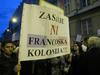 Foto, video - Zasavci pred vlado, Pahor 