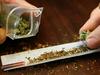 Marihuana na Nizozemskem ne bo več dostopna tujcem
