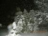 Foto, video: Snežilo do jutra