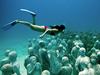 Foto: Umetni koralni greben iz skulptur prava znamenitost Cancuna