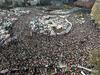 Foto: Leto po padcu Mubaraka za Egipčane prineslo bolj malo sprememb