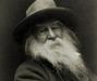 Walt Whitman, anonimni državni birokrat