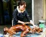 Festival pasjega mesa: nepogrešljiva kitajska tradicija ali zgolj izjemna krutost?